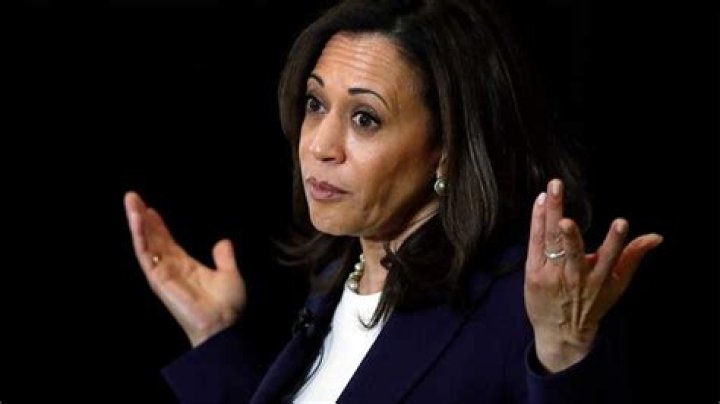 Kamala Phrases: A Comprehensive Guide to Understanding and Applying Them