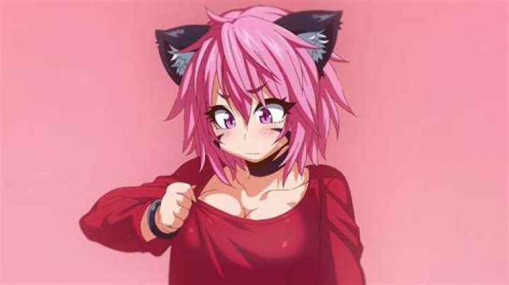 Kemonokko Tsuushin The Animation: A Comprehensive Guide to the Enchanting Series