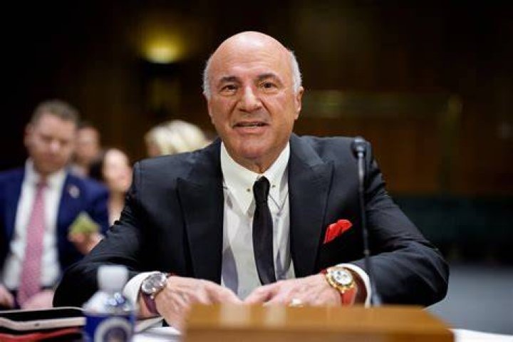 Kevin O'Leary Professions: A Comprehensive Guide to His Diverse Career Path