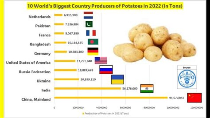 Largest Potato Producing State: Discovering the King of Tubers