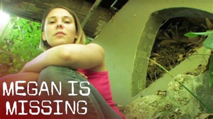 Megan's Missing: A Deep Dive into the Case That Shocked the Nation