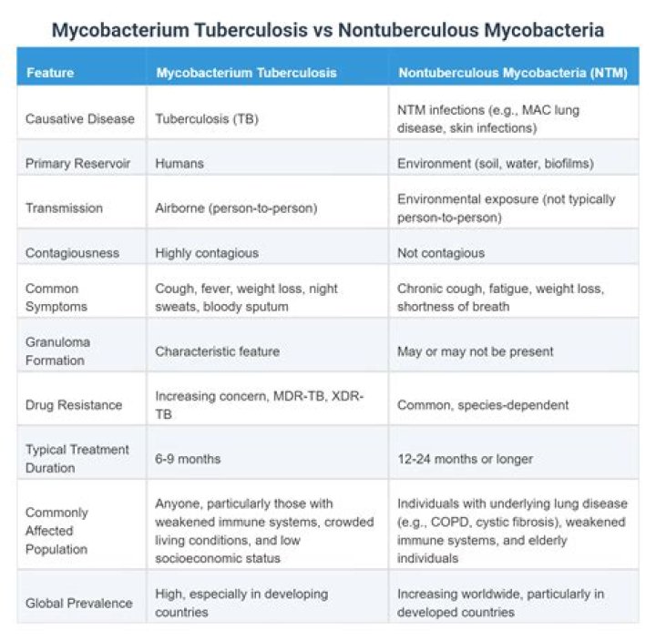 Nyi vs TB: Understanding the Differences and Implications for Health