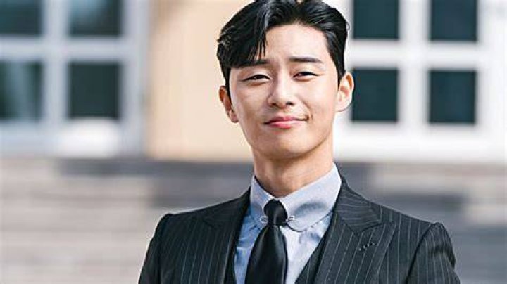 Park Seo-joon TV Shows: Exploring the Iconic Performances of a Rising Star