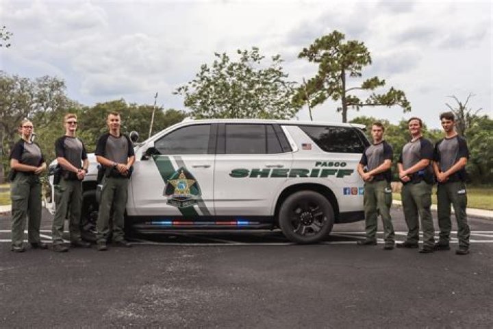 Pasco County Car Registration: A Comprehensive Guide to Streamline Your Process