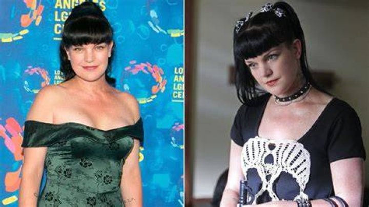 Pauley Perrette: She Is Done Acting &ndash; A Comprehensive Look Into Her Career and Decision
