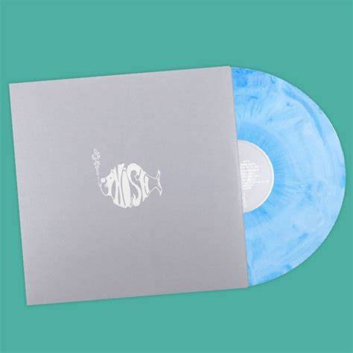 Phish Dry Goods Vinyl: A Comprehensive Guide for Music Enthusiasts
