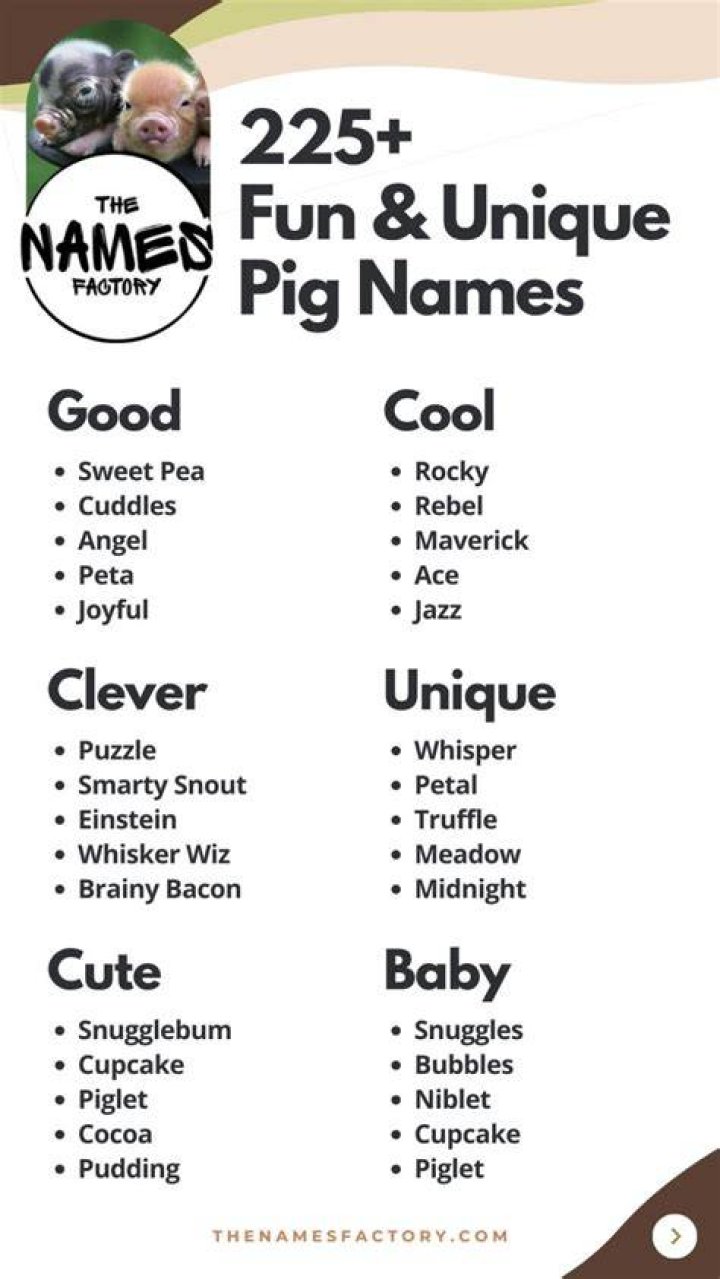 Pig Names: A Comprehensive Guide to Naming Your Beloved Pet Pig