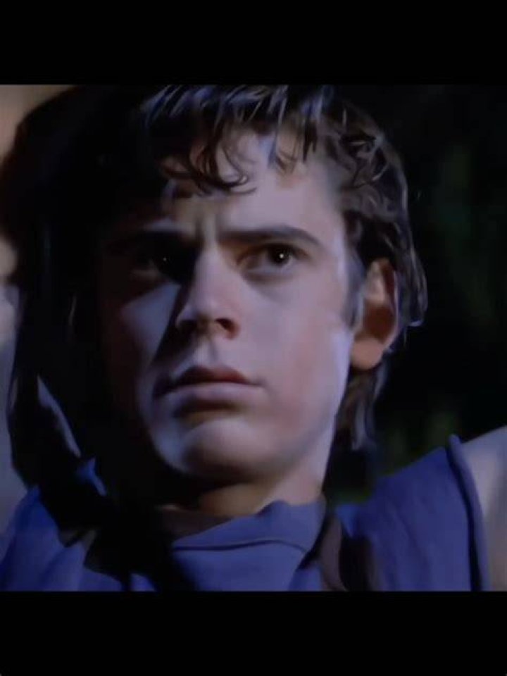 Ponyboy Curtis from The Outsiders: A Deep Dive into His Character and Legacy