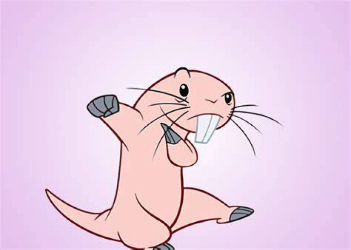 Rufus on Kim Possible: The Ultimate Guide to the Tiny Yet Mighty Sidekick