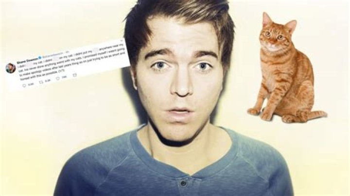 Shane Dawson Cat: A Comprehensive Guide to the Viral Sensation