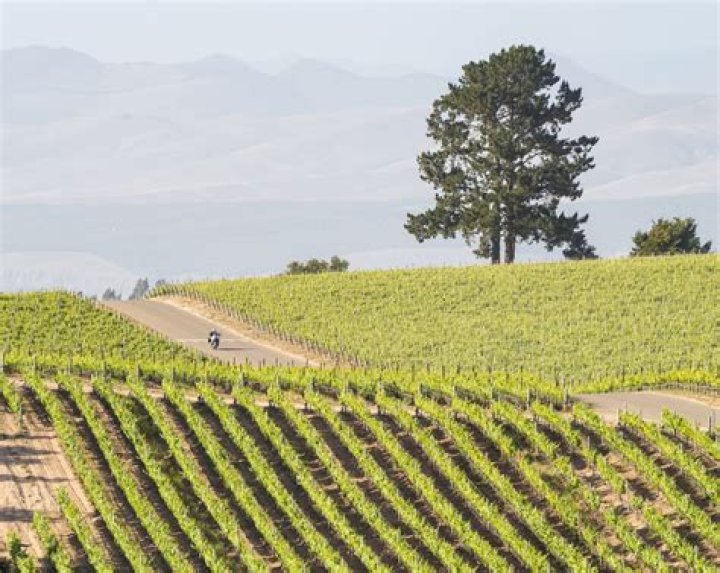 Silverado Pa Napa: A Comprehensive Guide to the Iconic Wine Country Experience