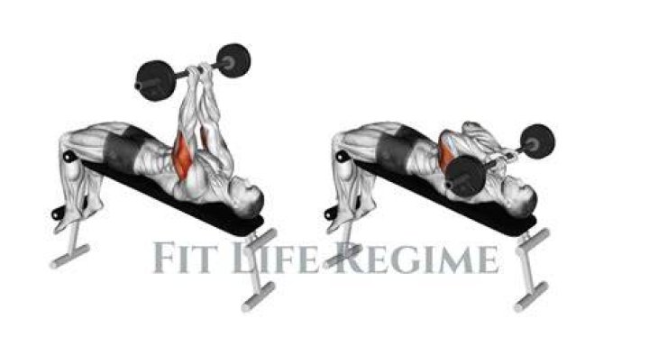 Skull Crushers: The Ultimate Guide to Building Stronger Arms and Shoulders