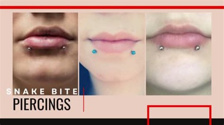 Snakebite Piercing: A Comprehensive Guide to Style, Safety, and Aftercare