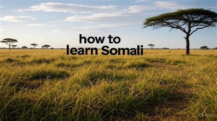 Somali TV: The Ultimate Guide to Discovering the Rich Cultural Landscape