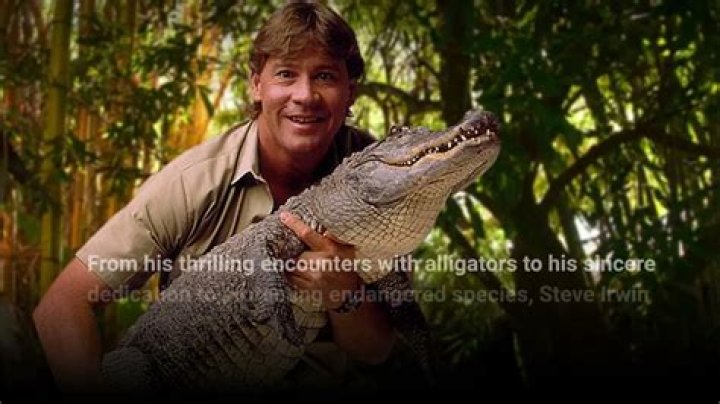 Steve Irwin Legacy: A Lasting Impact on Wildlife Conservation