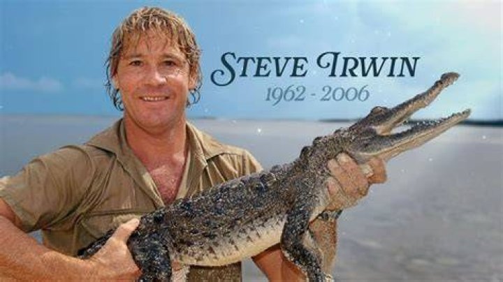 Steve Irwin: The Legacy and Tragic Death of the Crocodile Hunter