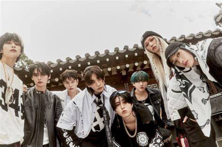Stray Kids Members: A Comprehensive Guide to the Rising K-Pop Sensation