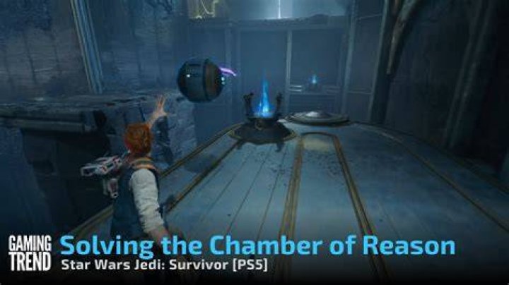 Survivor Reason 15: Unveiling the Secrets Behind the Phenomenon