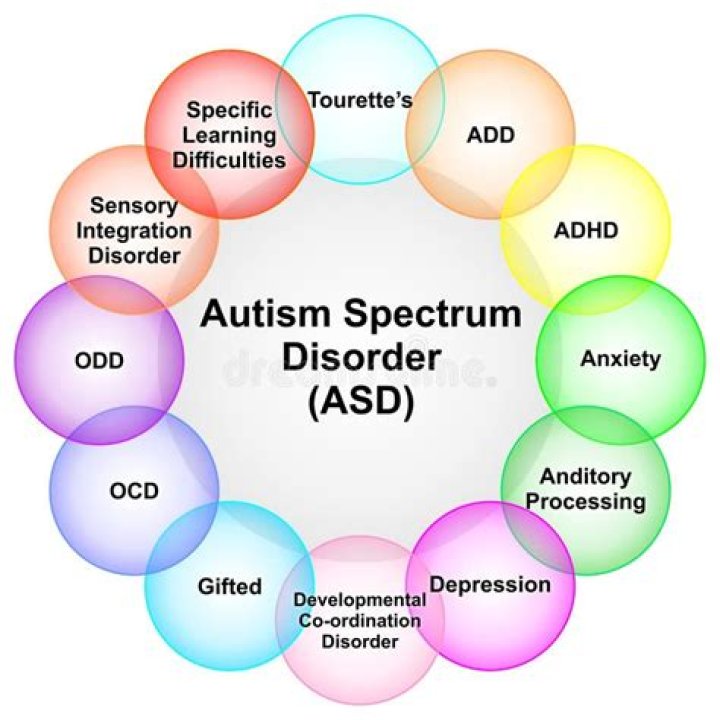 The Center for Autism and Related Disorders: A Comprehensive Guide to Understanding and Supporting Individuals with Autism