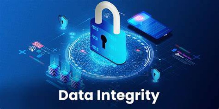 The DIMP: Revolutionizing Data Integrity and Security