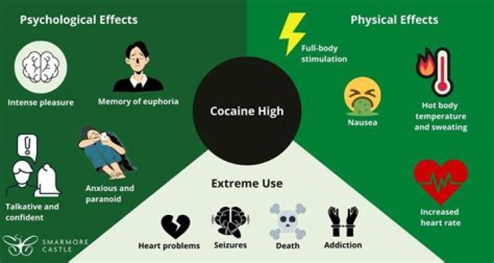 The Effects of Methaqualone: Understanding Its Impact on Health and Society