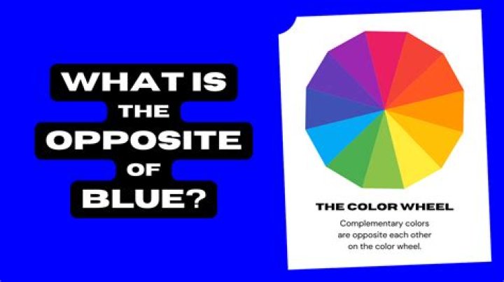 The Fascinating World of Colors: What is the Opposite of Blue?