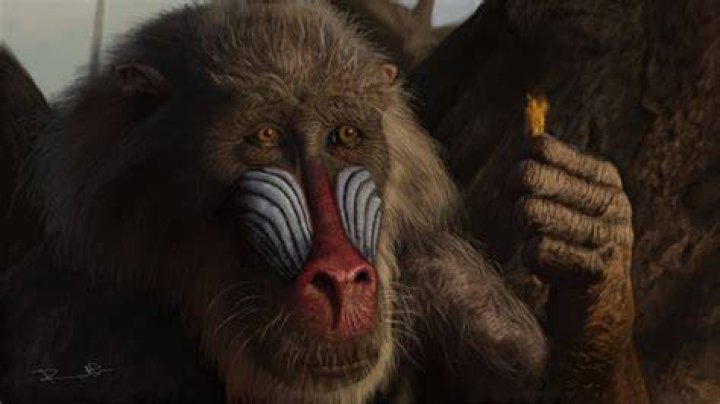 The Monkey in Lion King: Unveiling the Theory Behind Rafiki