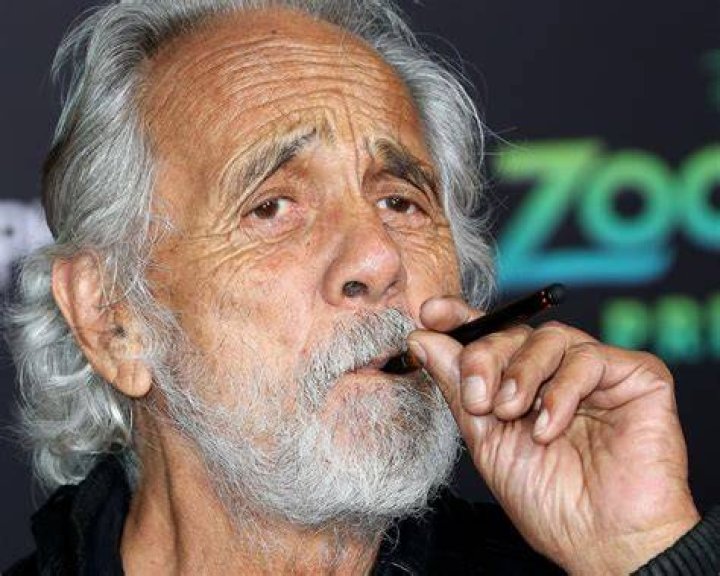 Tommy Chong Net Worth: The Untold Journey of a Cannabis Legend
