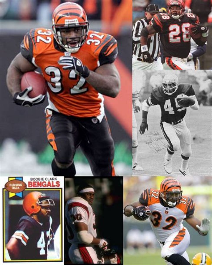 Top Running Backs for the Cincinnati Bengals: A Comprehensive Guide