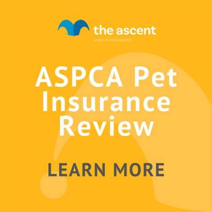Understanding ASPCA Pet: Your Ultimate Guide to Supporting Animal Welfare