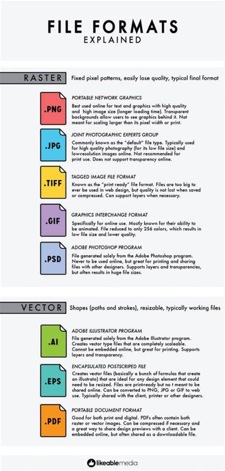 Understanding File Formats: A Comprehensive Guide for Digital Users