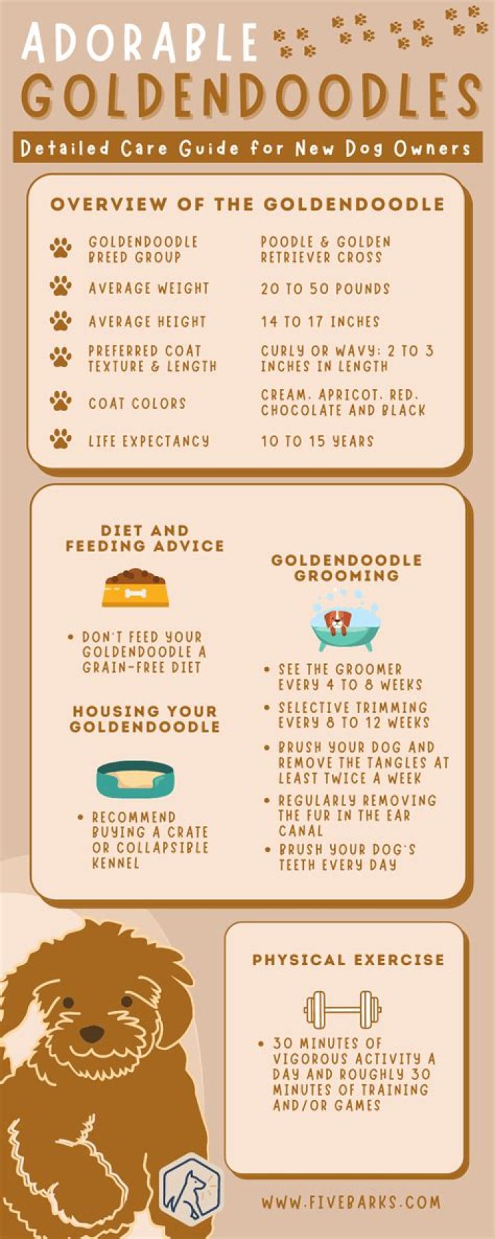 Understanding the Lifespan of a Goldendoodle: A Comprehensive Guide for Owners