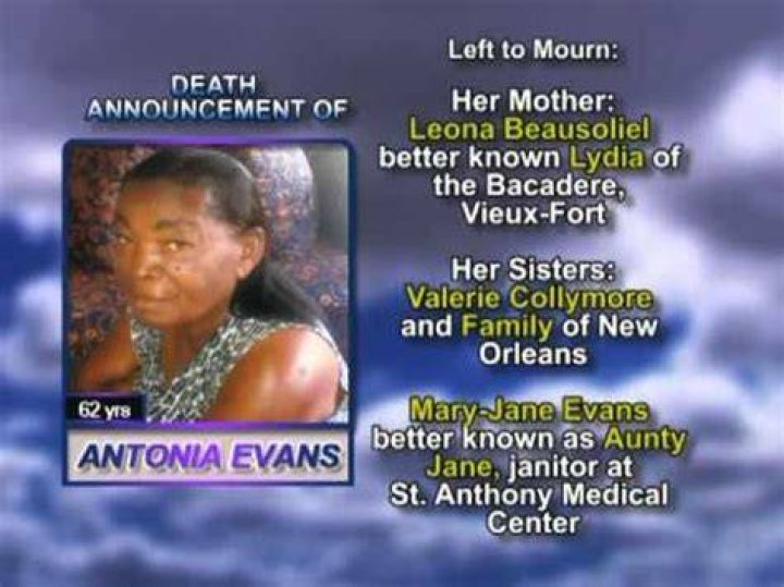 Unveiling the Enigma: Antonia Evans Chicago