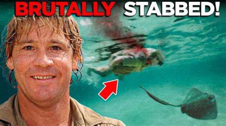 Unveiling the Truth: Steve Irwin's Death Cause