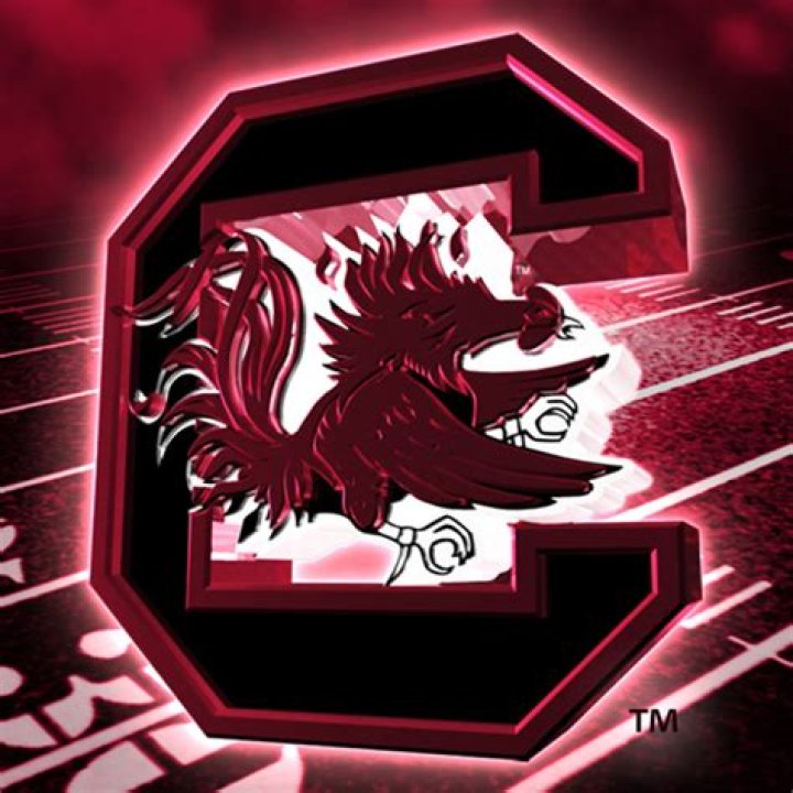 USC Gamecocks Wallpaper: Your Ultimate Guide to Gamecock Spirit