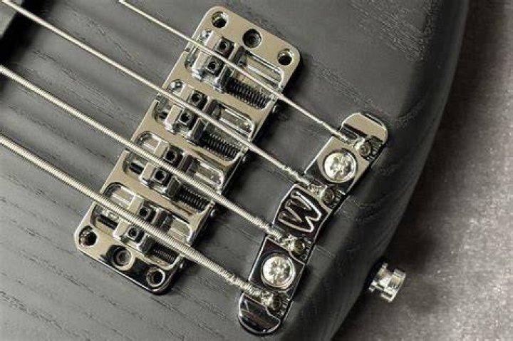 Warwick Rock Bass: The Ultimate Guide for Bassists
