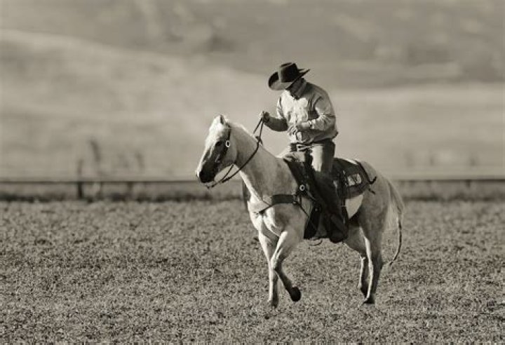 Weapon Used on Horseback: A Comprehensive Guide to Cavalry Arms and Tactics