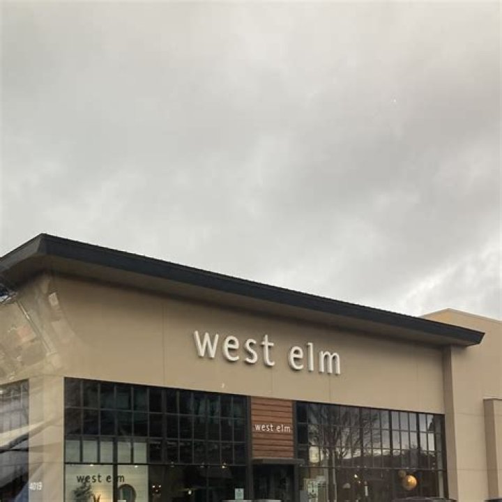 West Elm Charlotte Reviews: A Comprehensive Guide for Your Next Home Furnishing Adventure