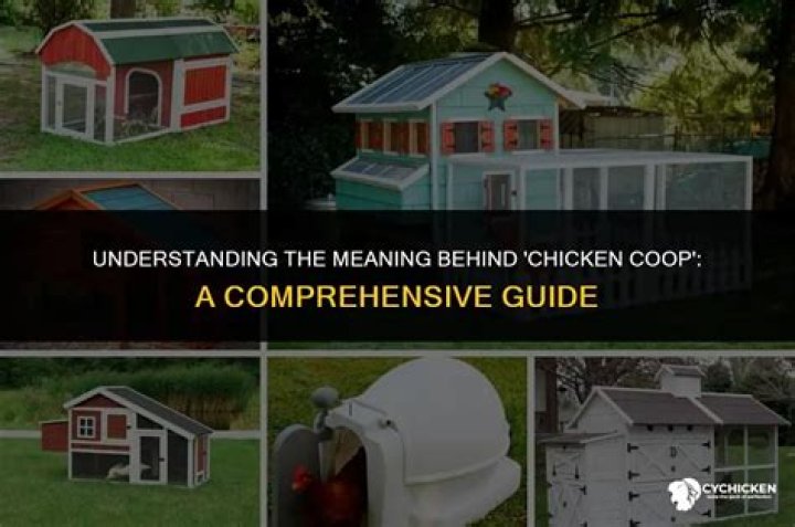 What Does Chicken Lovers Mean? A Comprehensive Guide
