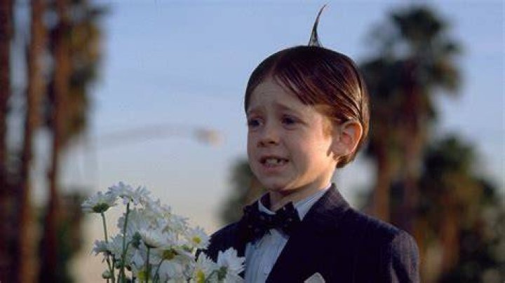 What Happened to Alfalfa from The Little Rascals: A Comprehensive Look at His Life and Legacy