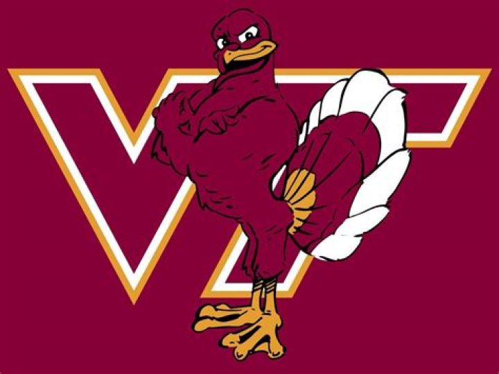 What is a Hokie VT Mascot? Discover the Iconic Symbol of Virginia Tech