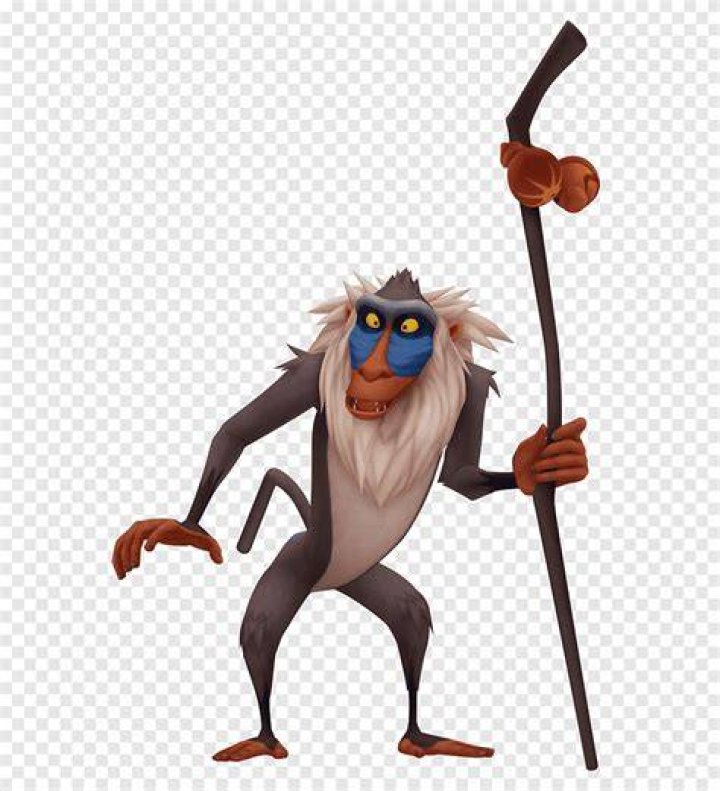 What Monkey is Rafiki: Exploring the Iconic Character from The Lion King