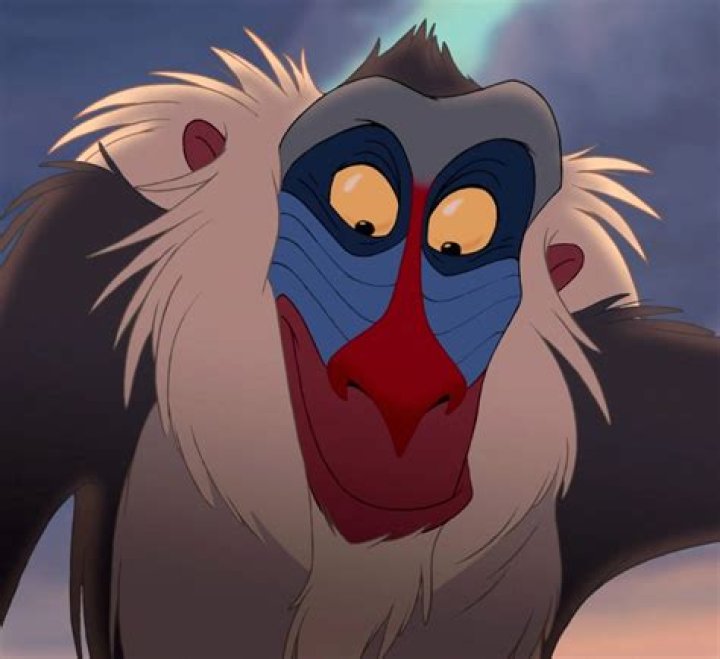 What Type of Monkey is Rafiki? Exploring the Fascinating Character from The Lion King