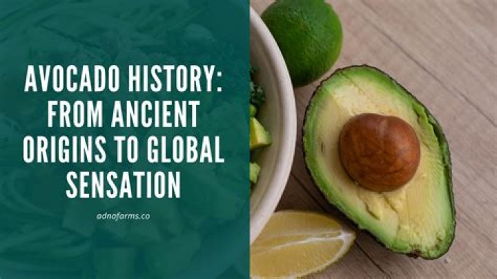 Where Was Patajak Born? Exploring the Origins and Fascinating Journey of a Global Sensation