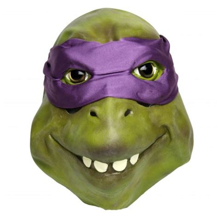Which Teenage Mutant Ninja Turtle is Purple: A Comprehensive Guide