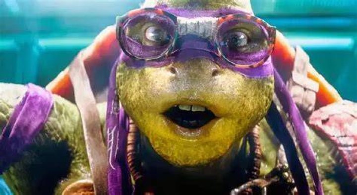 Who is the Purple Teenage Mutant Ninja Turtle? Discover the Iconic Michelangelo