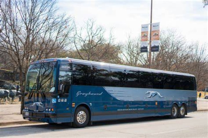 Why Greyhound Buses Are the Best Option for Long-Distance Travel in the U.S.
