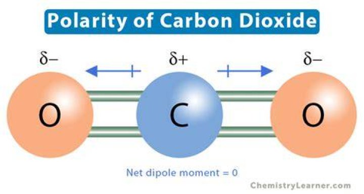 Why Is CO2 Polar? A Comprehensive Guide to Understanding Carbon Dioxide's Molecular Structure