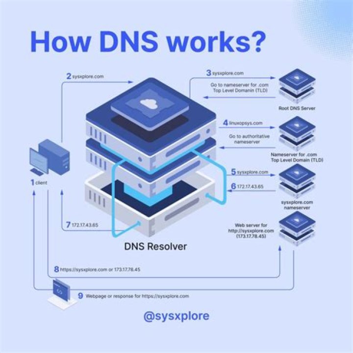 www.com: Understanding the Backbone of the Internet Domain System