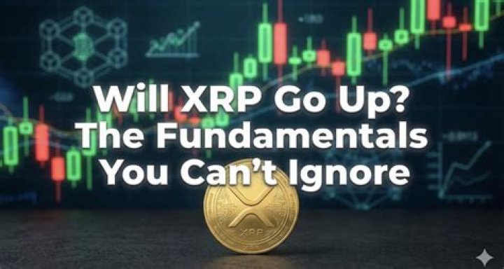 XRP Price: The Crypto You Can't Ignore in 2024